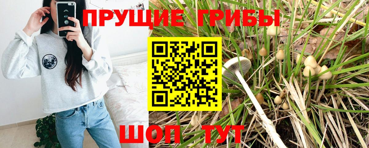 Галлюциногенные грибы Psilocybe  Вход с VPN  Борисоглебск 